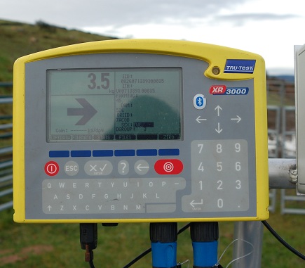 Tru-Test XR3000 with drafting indicator arrow